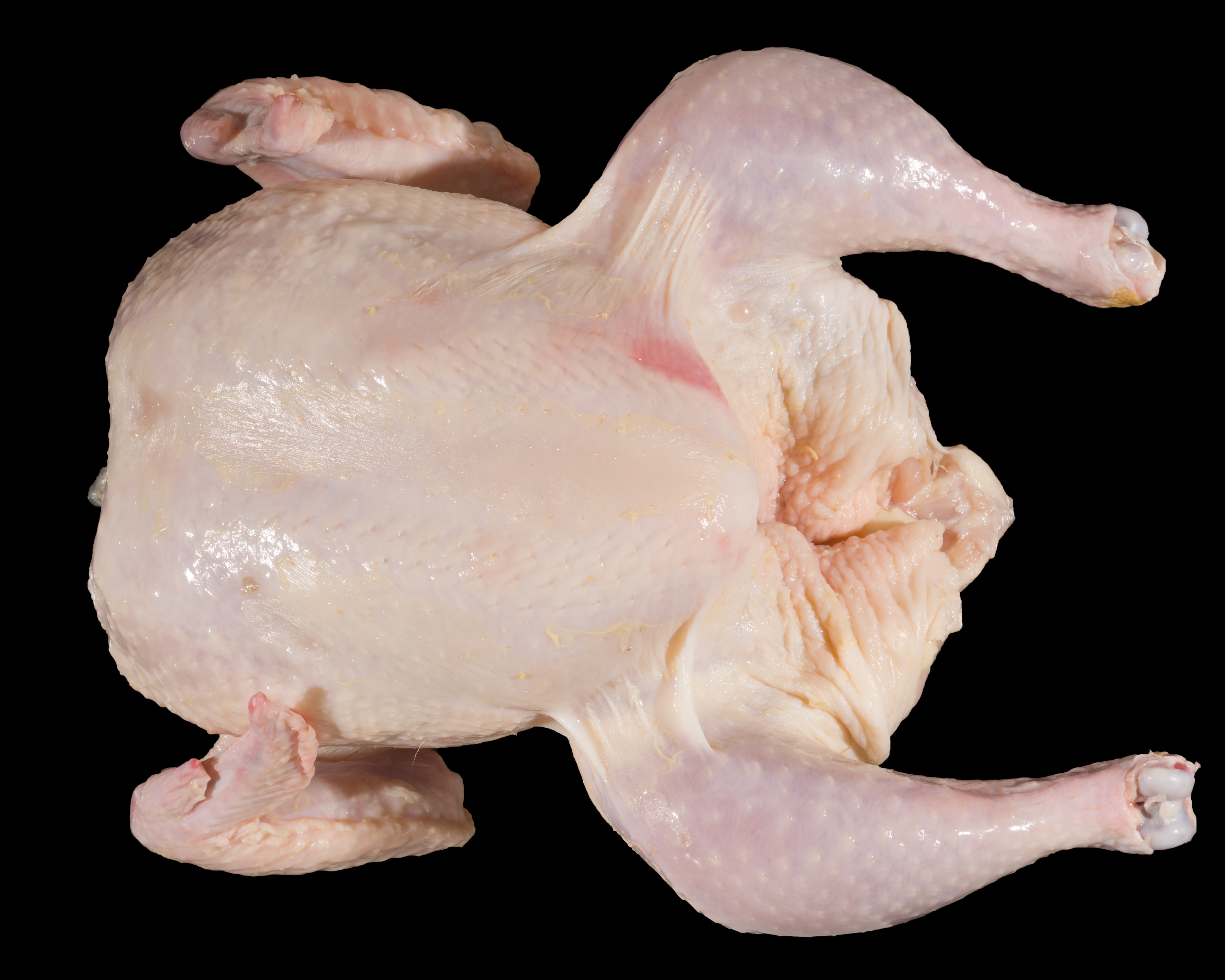 Grade A Whole Bird with Light Discoloration 