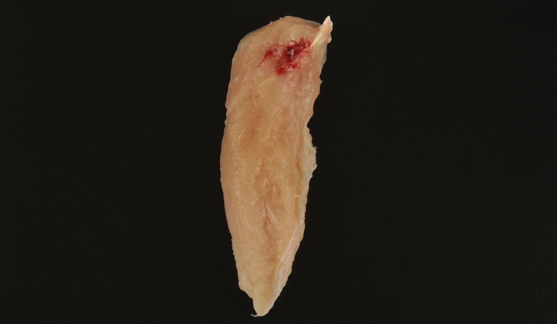 No Grade Tenderloin with Moderate Discoloration