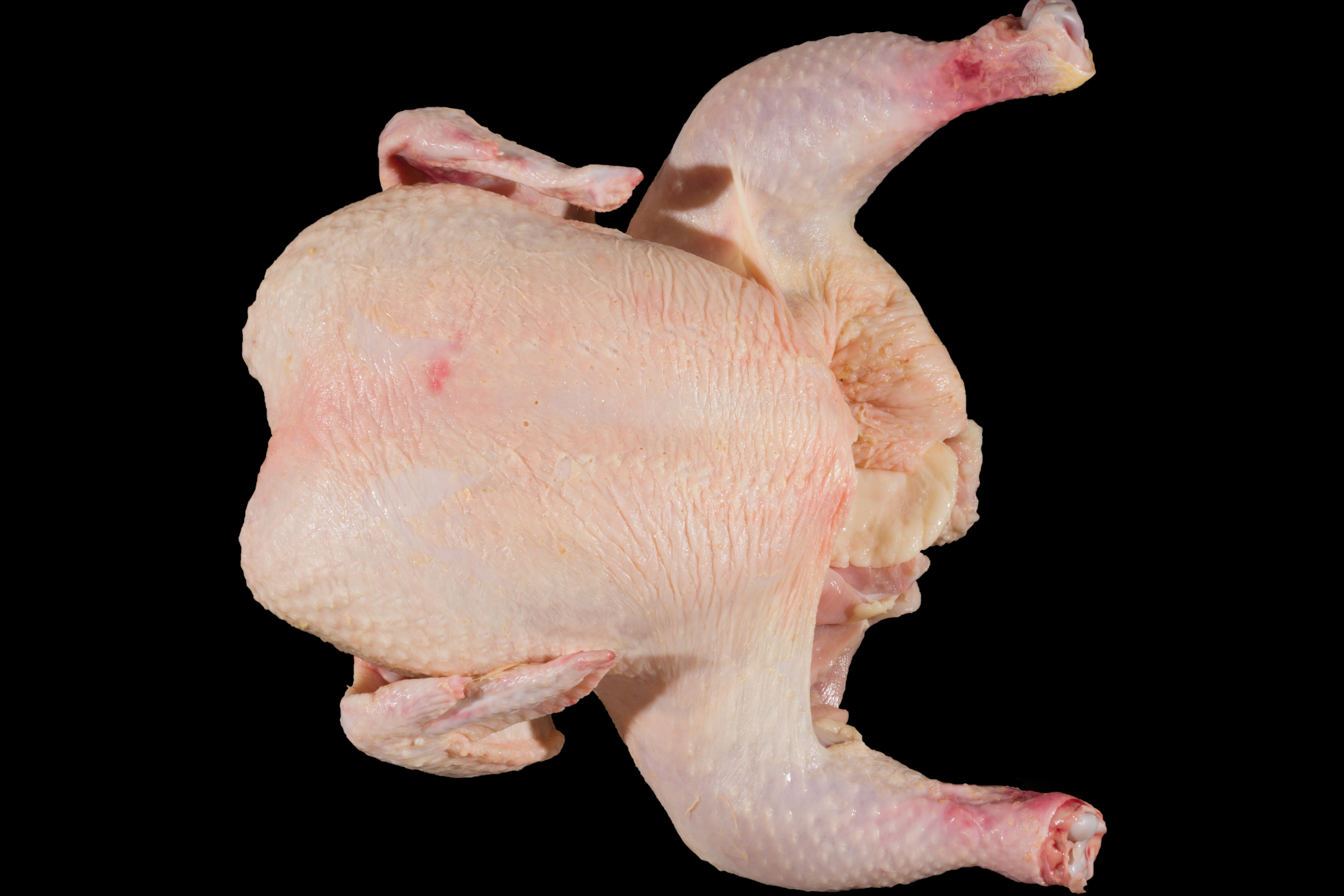 Grade A Whole Bird with Moderate Discoloration on Hock