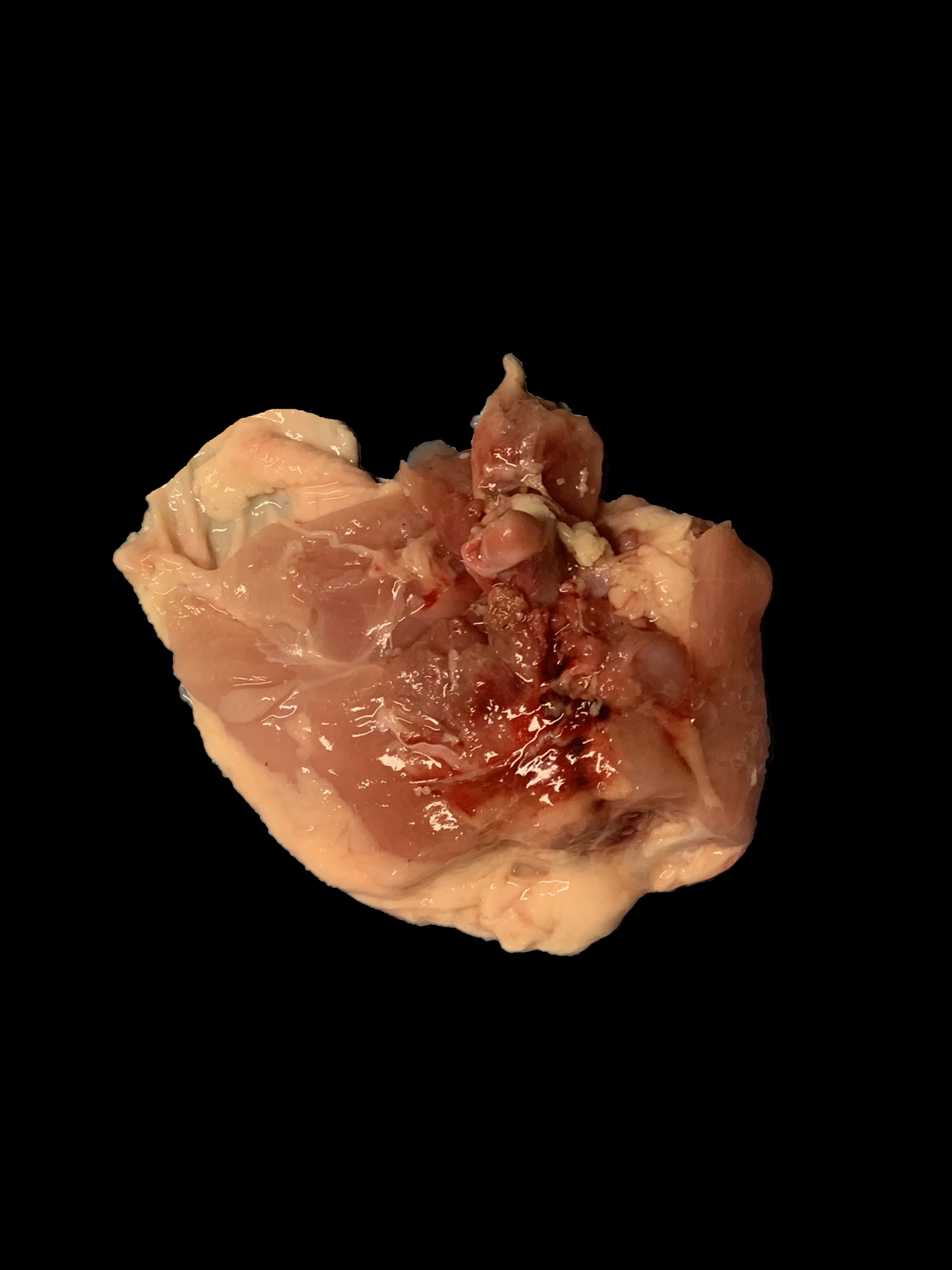 Photograph of a Grade C Thigh with Moderate Discoloration and Blood Clot