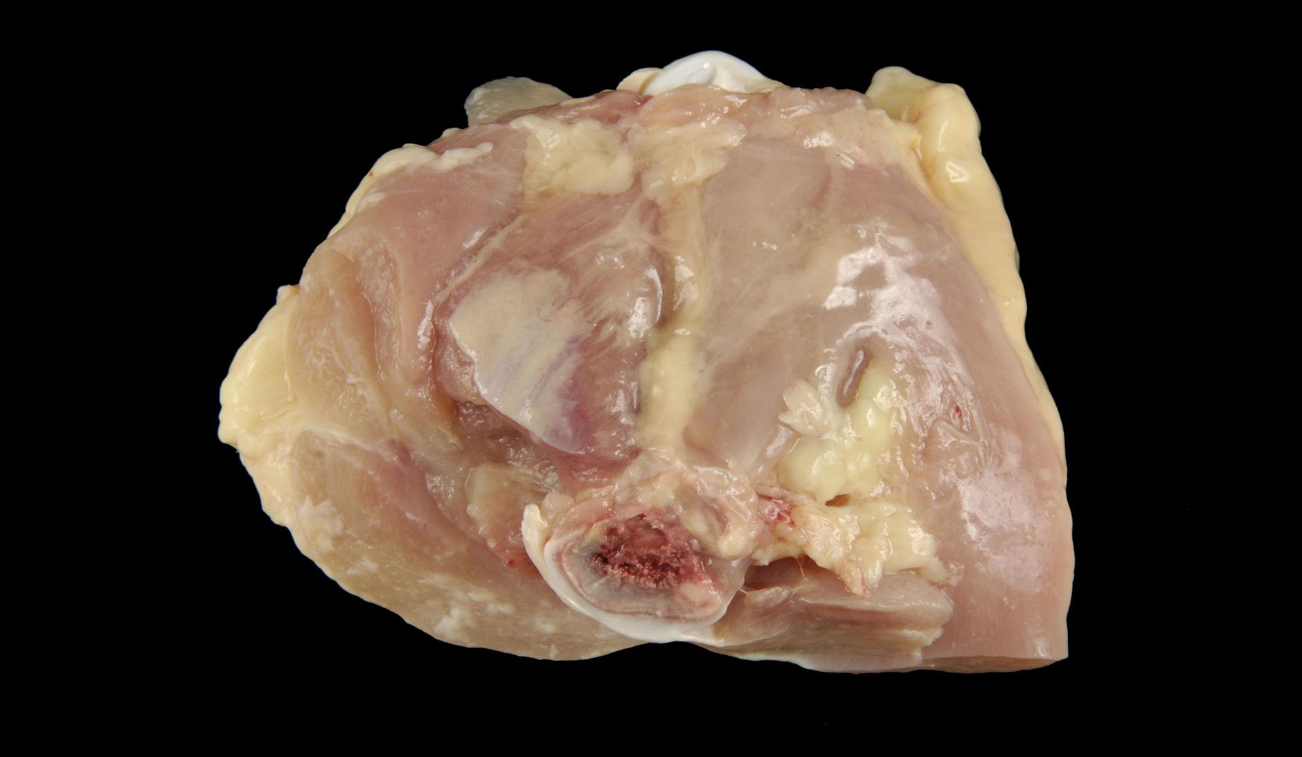 Photograph of Grade C Thigh Joint Miscut