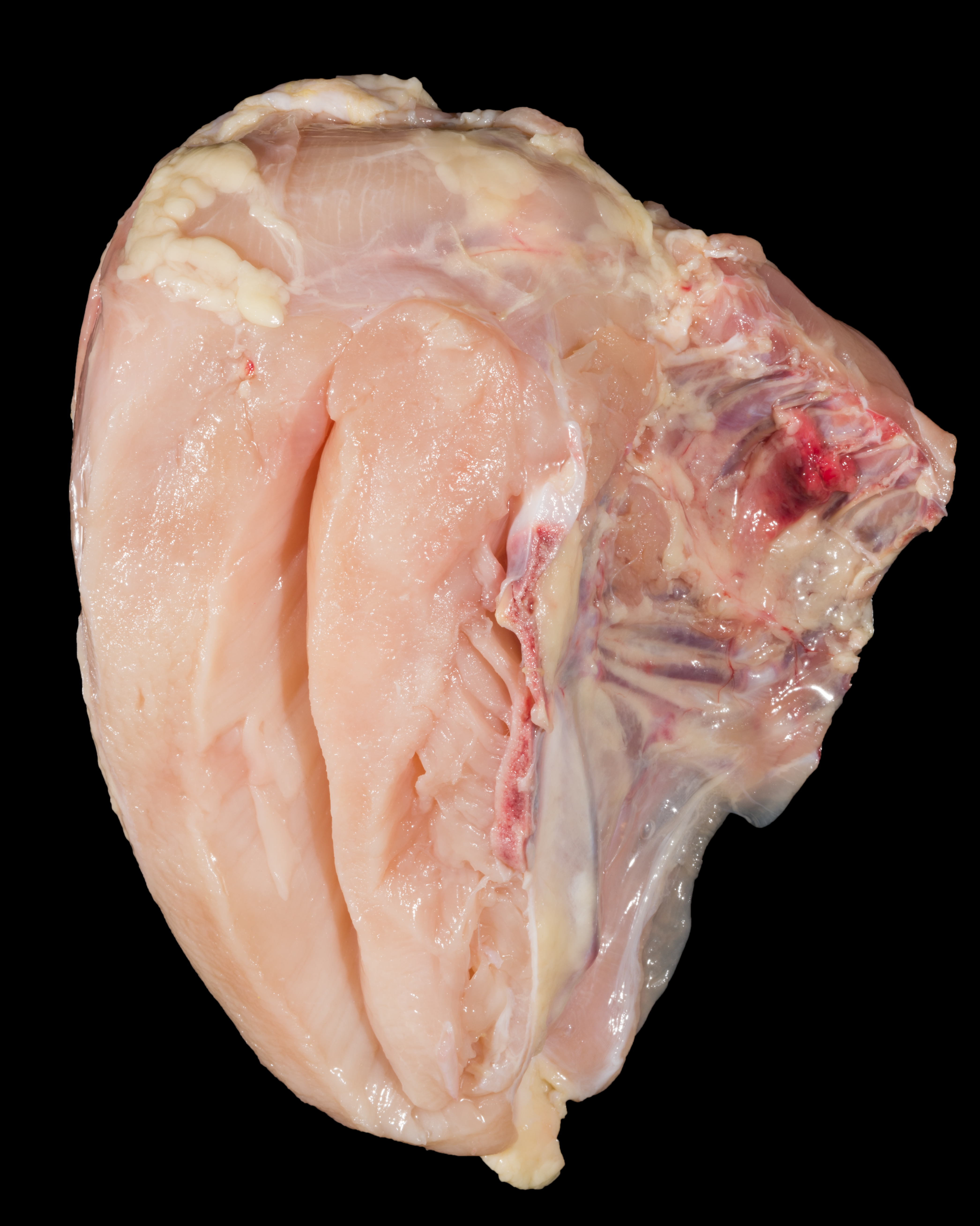 Grade A Split Breast (inside) with Small Lung 