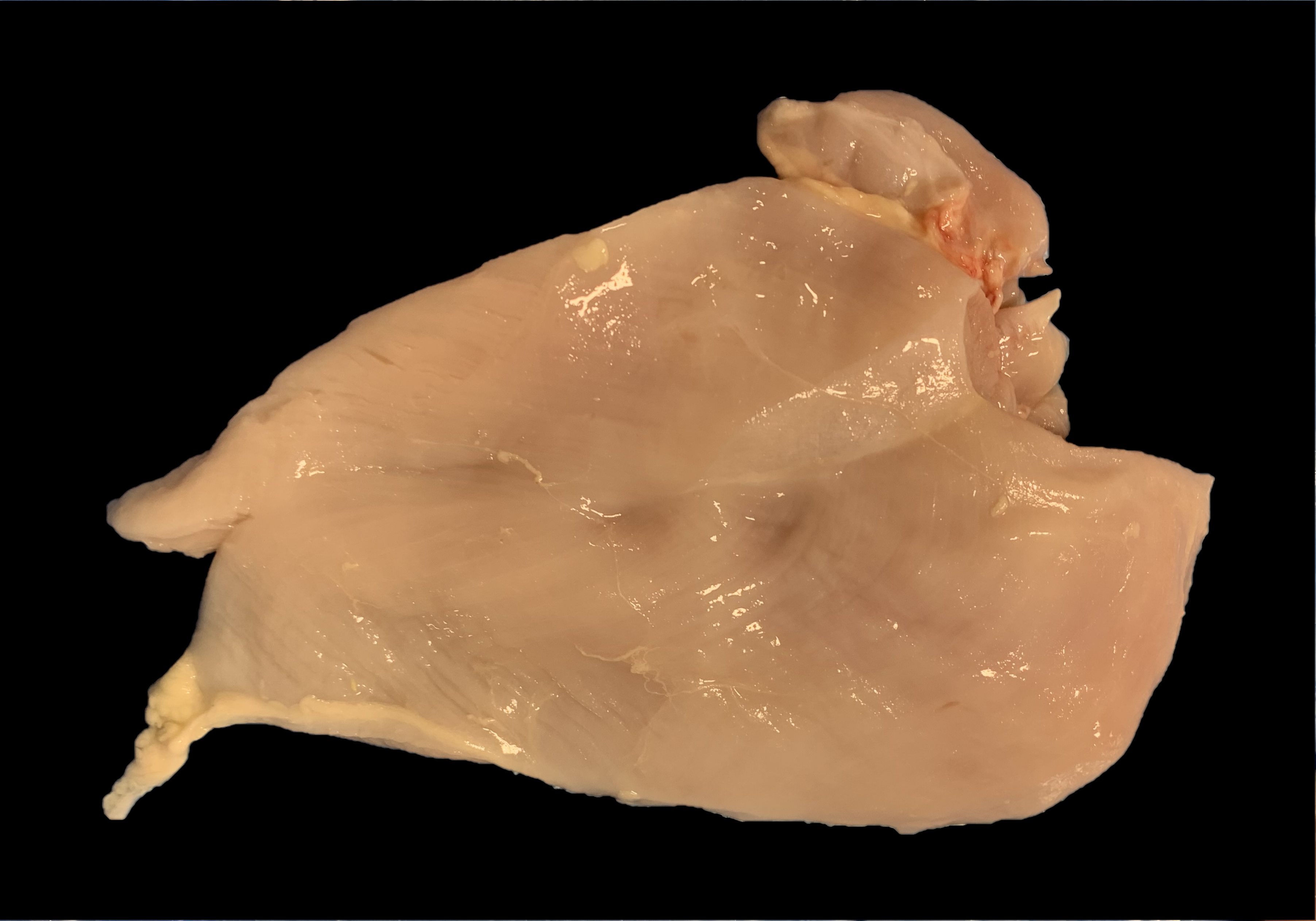 Grade A Boneless Skinless Breast with Cut at Tip