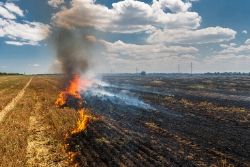 Field Burning